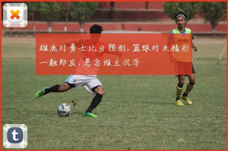 雄鹿对勇士比分预测,篮球对决精彩一触即发,悬念谁主沉浮
