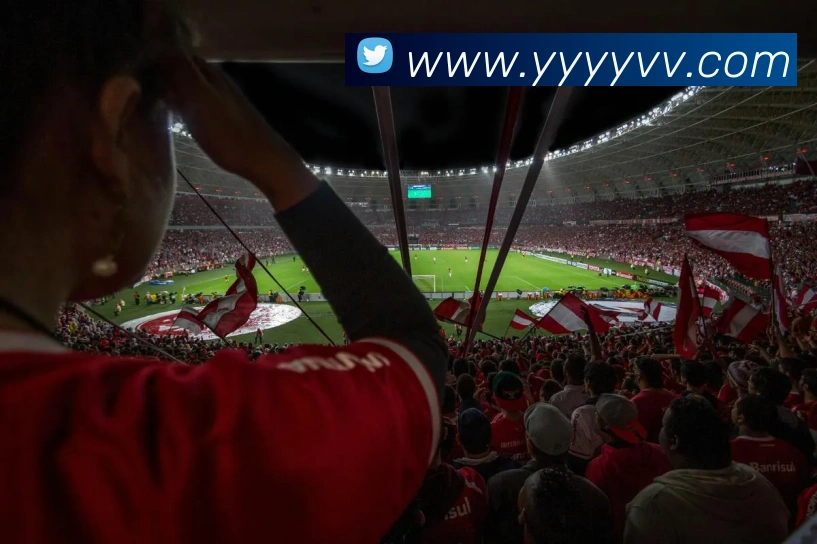 九游体育，九游平台生态图